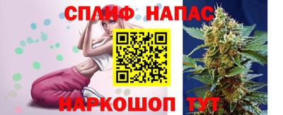 сатива Конаково
