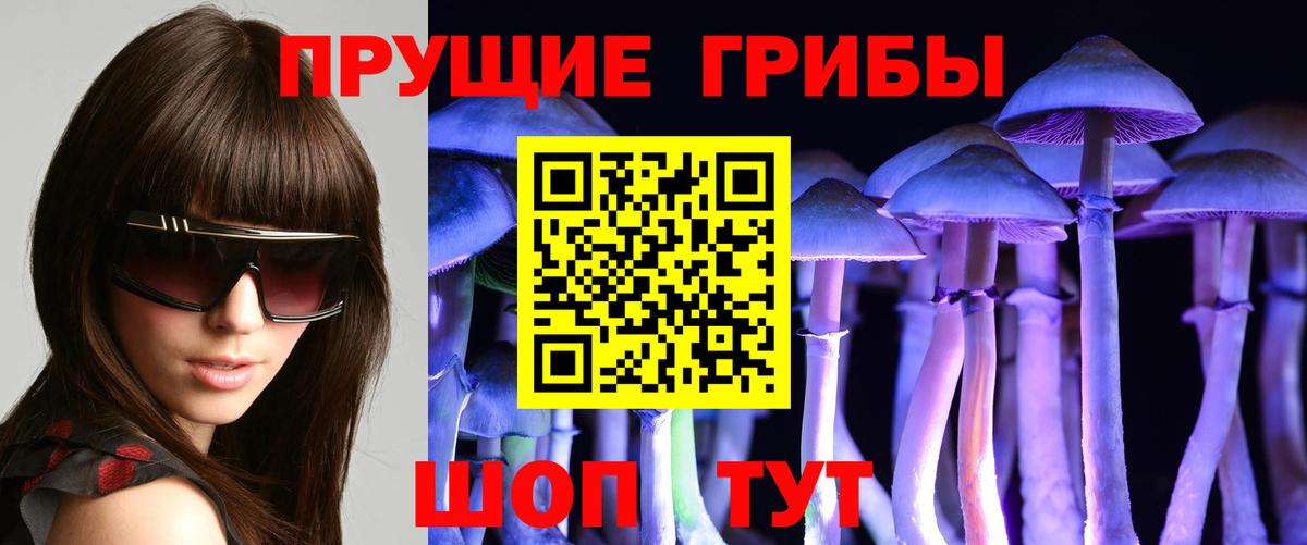 МЕФ Хасавюрт