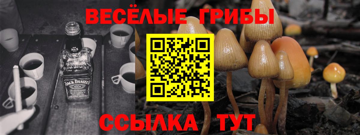 Псилоцибиновые грибы GOLDEN TEACHER  Псилоцибиновые грибы мицелий  Вход с VPN  Хасавюрт 